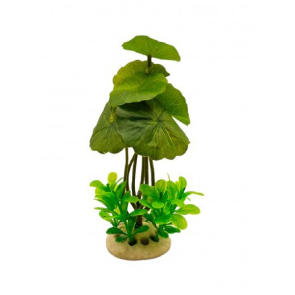 ΔΙΑΚΟΣΜΗΤΙΚΟ ΦΥΤΟ ΕΝΥΔΡΕΙΟΥ 16CM